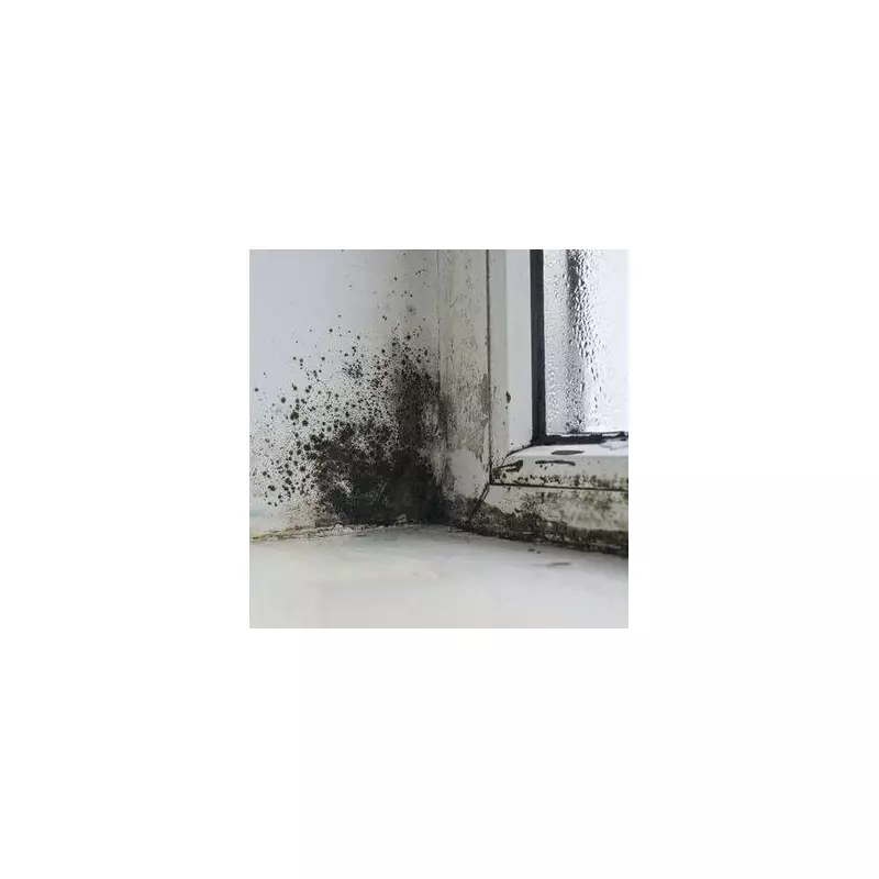 Beat Winter Window Condensation: 5 Genius Hacks to Keep Your Home Clear and Mould-Free