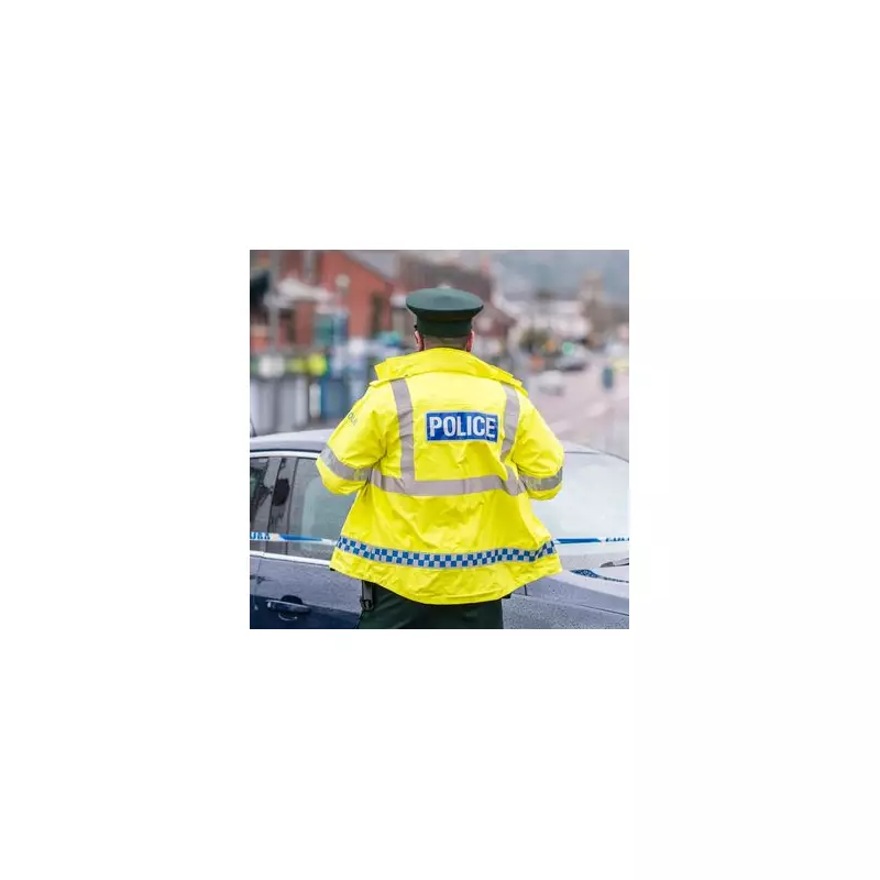 Belfast Carjacking Horror: Family's Terrifying Ordeal as Thugs Smash Way Into Vehicle