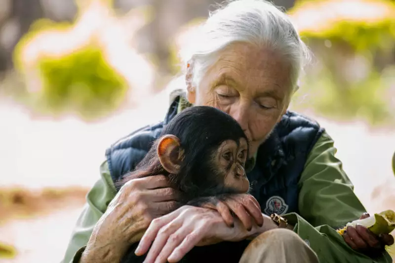 Beyond the Chimpanzee: Jane Goodall's Reading List Reveals Her Extraordinary Life