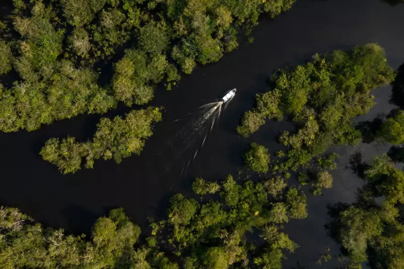 Brazil Ignites Environmental Firestorm: Amazon Oil Drilling Gets Green Light Despite Global Outcry