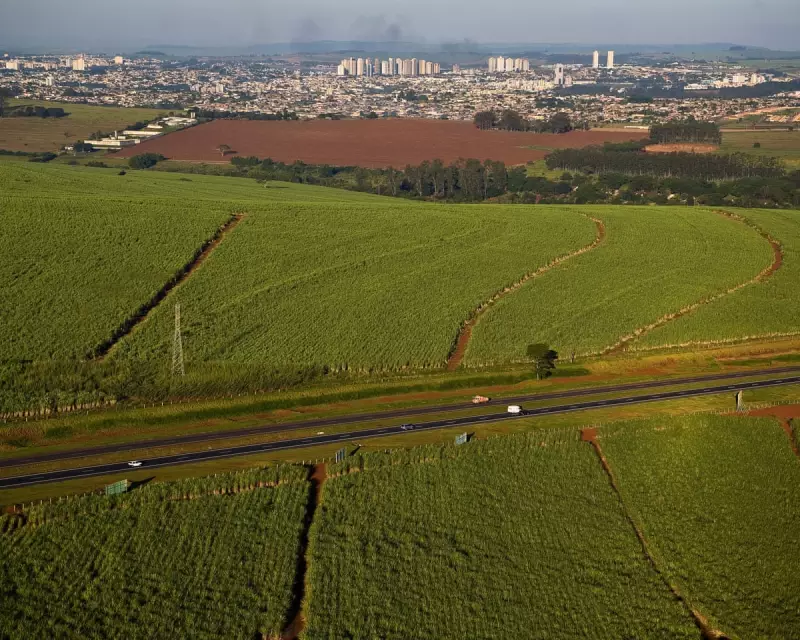 Brazil's Bold Biofuel Gambit: Secret UN Proposal Demands 400% Global Increase