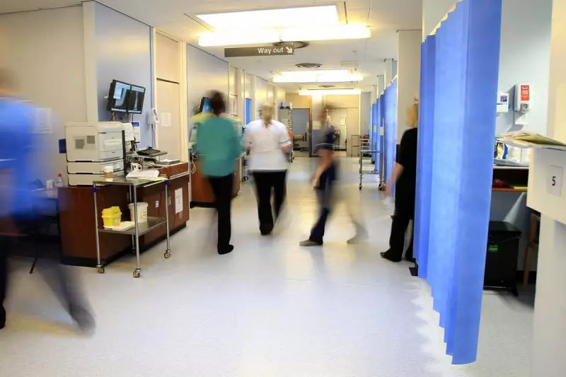 Breakthrough Blood Test Could Revolutionise Multiple Myeloma Diagnosis in UK Hospitals