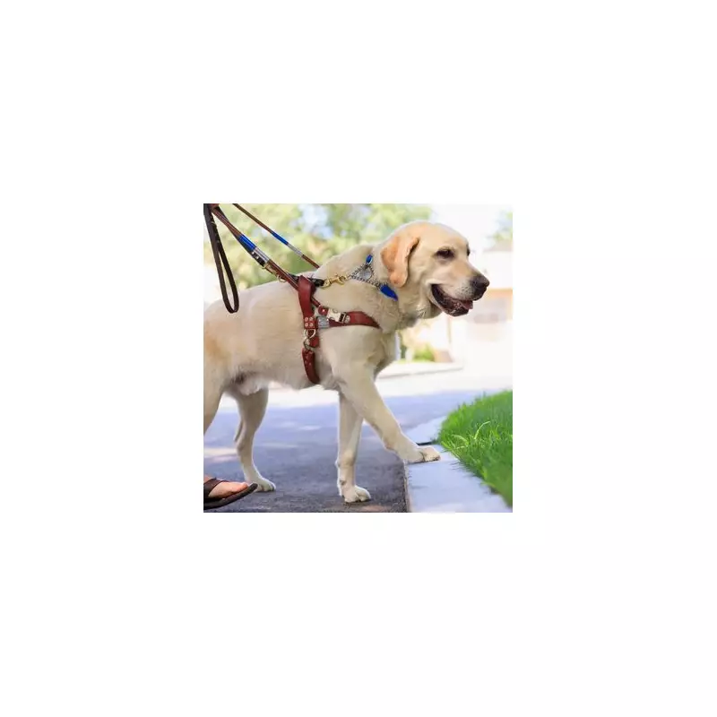 Bridezilla's Wedding Ban: No Kids Allowed - Not Even Her Own Bridesmaid's Child