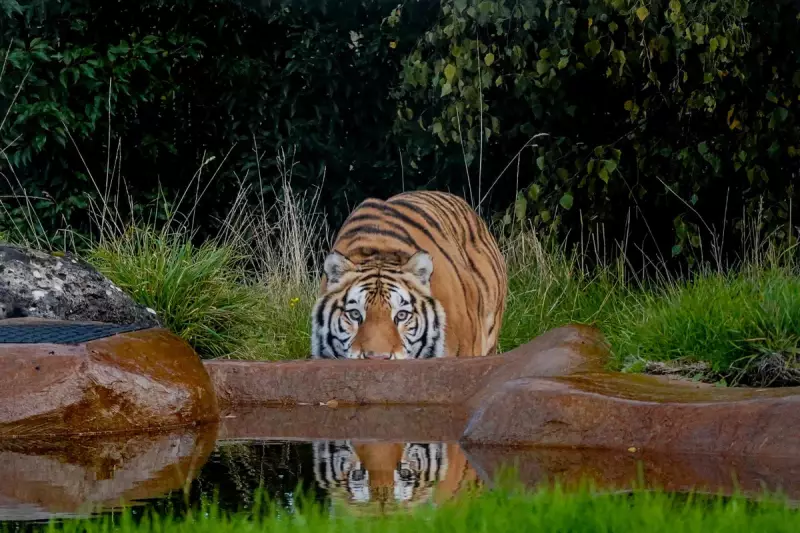 Bristol's Beloved Aqua Bar Forced to Close After UK Government Revokes License Over Belarus Connections