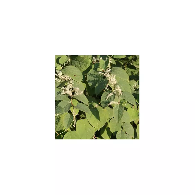 Brits Warned Over 'Nightmare' 500% Energy Bill Surge From Common Household Appliance