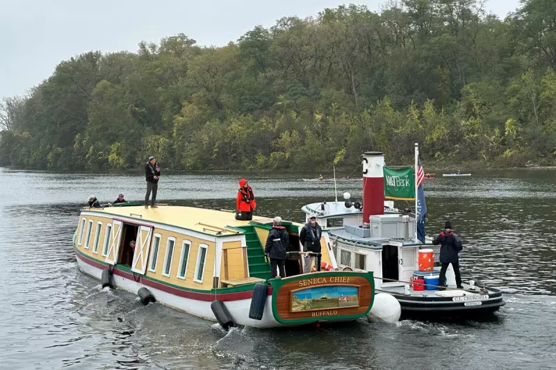 Buffalo Spotted Swimming in Hudson River: Extraordinary Wildlife Sighting Stuns New Yorkers