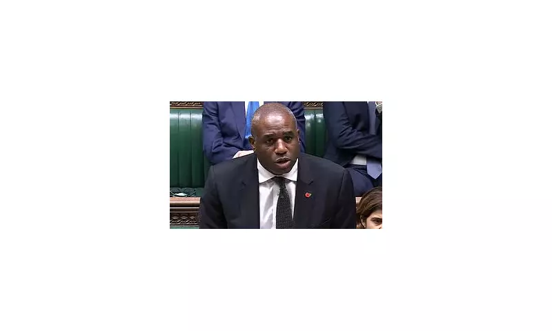 Calamity Lammy Under Fire: Sex Offender Mistakenly Released in Epping Sparks Government Crisis