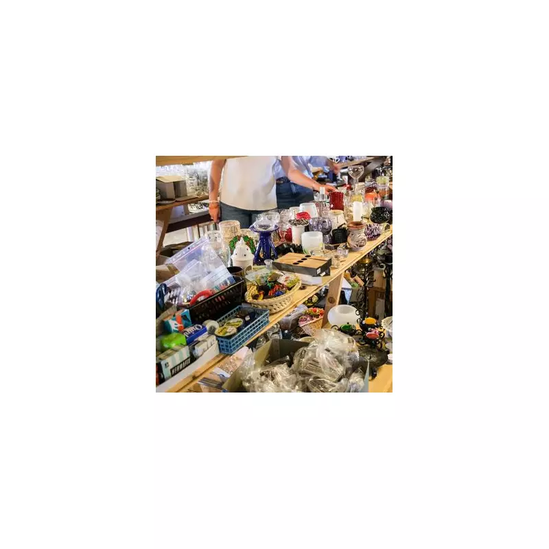 Charity Shop Bargain Hunt Turns Into £1,000 Windfall After Rare Find