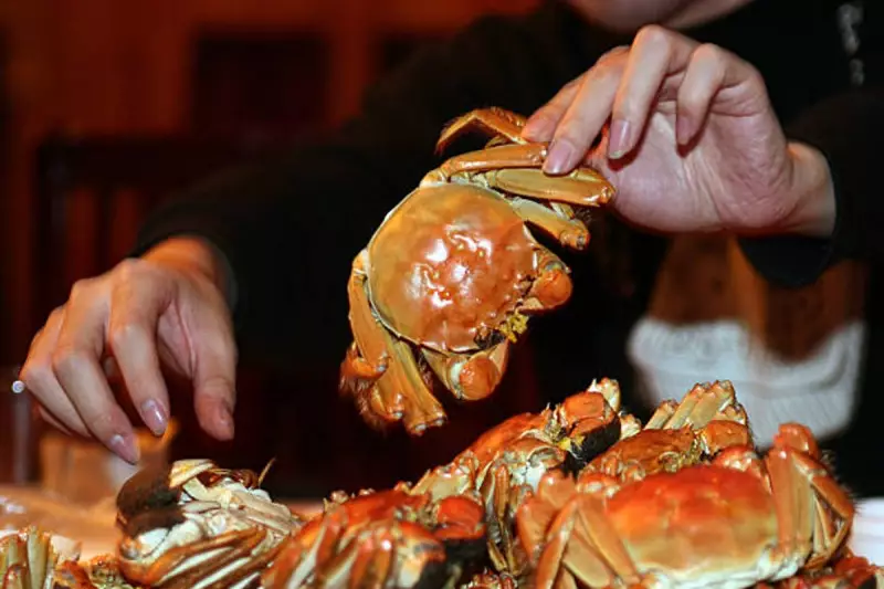 China's Heatwave Crisis: Beloved Hairy Crab Delicacy Faces Unprecedented Threat