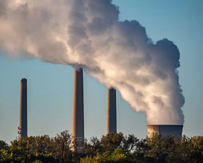 Coal Consumption Shatters Records in 2024 Despite Climate Pledges