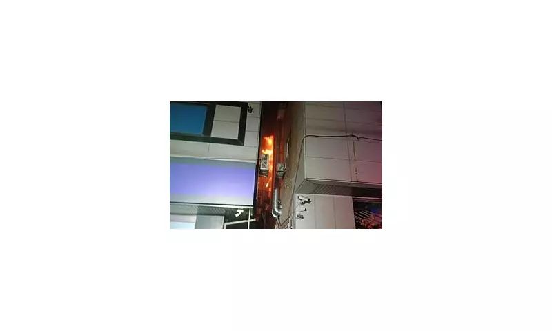 Cockroach Chaos: Mother's DIY Extermination Goes Horribly Wrong, Torching Neighbour's Flat