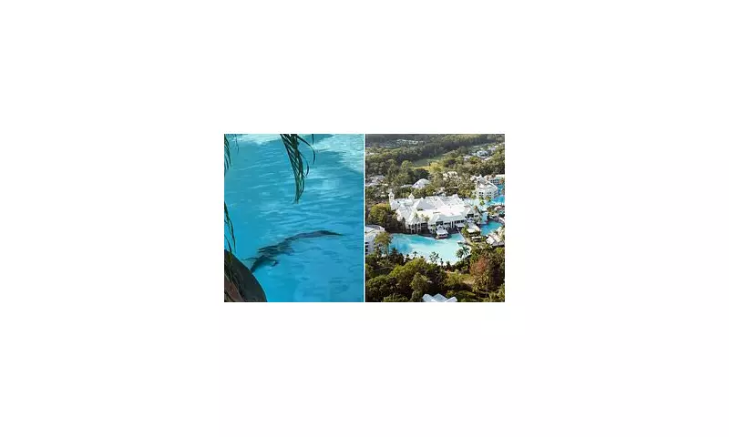 Crocodile Chaos: Queensland Resort's Pool Turns Into Predator Pit