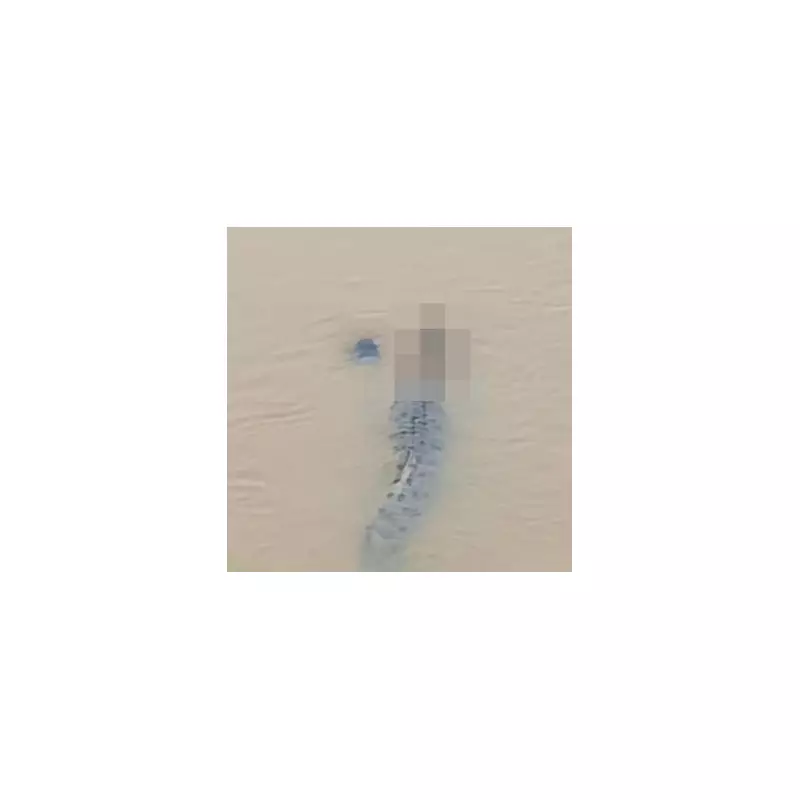 Crocodile Horror: Woman Dragged Underwater in Terrifying River Attack