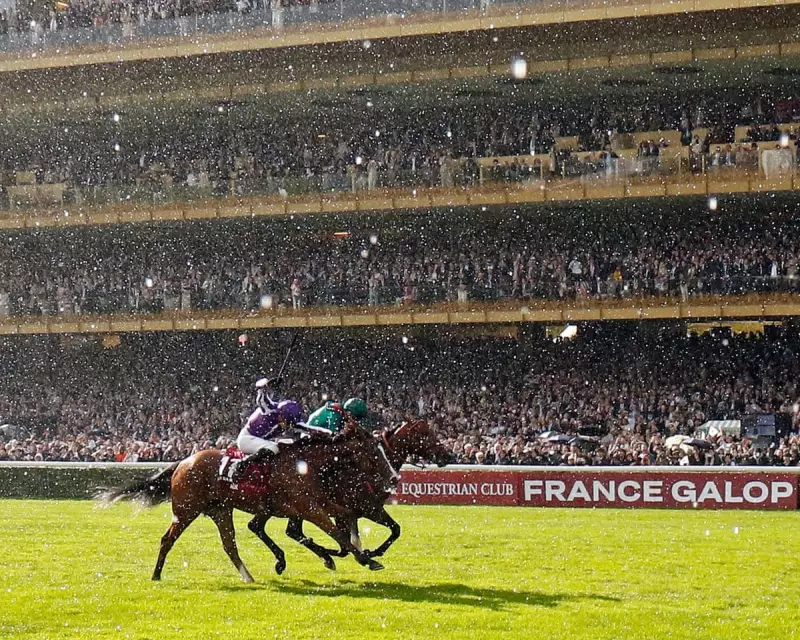 Daryz Denies Minnie Hauk in Thrilling Arc de Triomphe Photo Finish