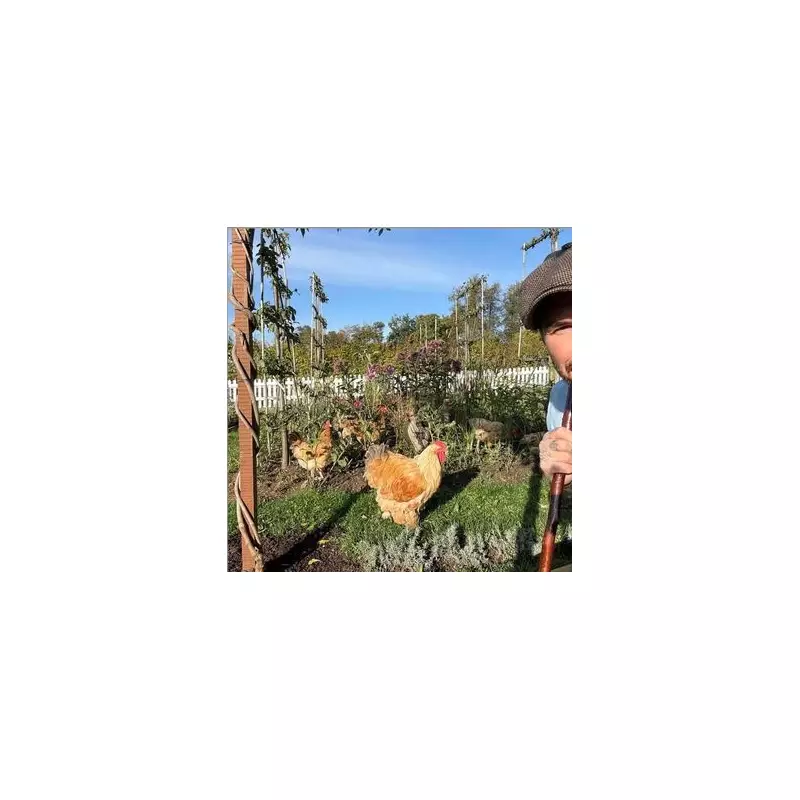 David Beckham's Dramatic Cotswolds Transformation: Football Icon Embraces Country Life