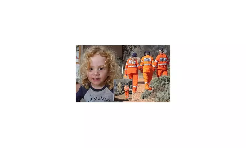 Desperate Search for Missing Outback Traveller Gus Lamont Continues in South Australian Bushland