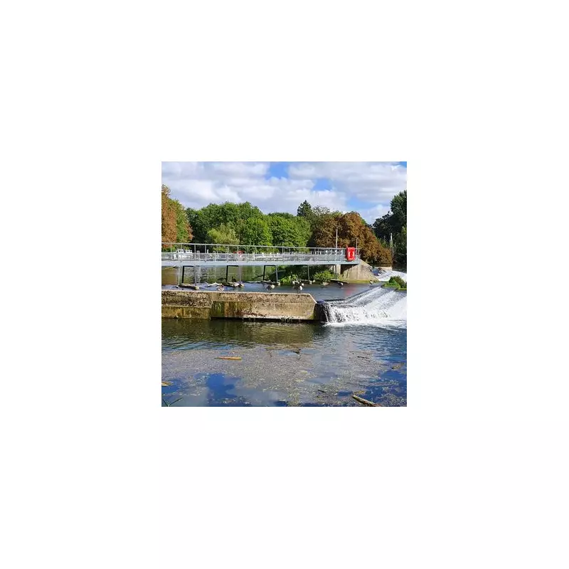 Discover Warkworth: The Idyllic Northumberland Village With Breathtaking River Views Voted Among UK's Best