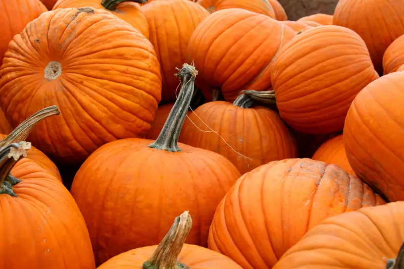 Don't Bin That Pumpkin! The Surprising Gut Health Benefits Hiding in Your Halloween Decorations