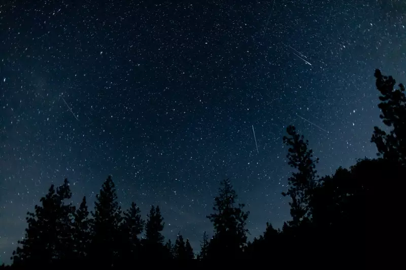 Don't Miss the Orionid Meteor Shower: Celestial Fireworks Light Up UK Skies This Weekend