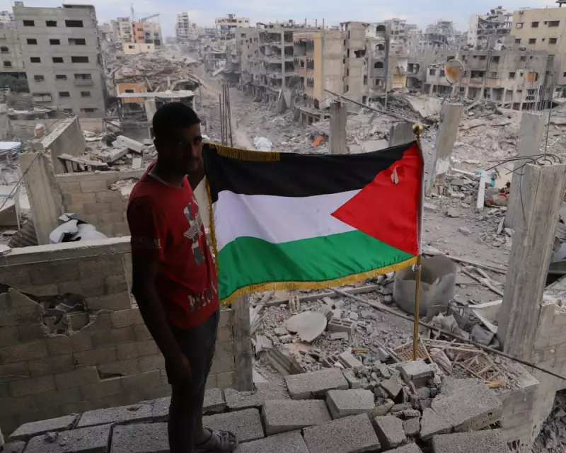 Egypt Poised to Lead International Gaza Stabilisation Force, Diplomatic Sources Reveal