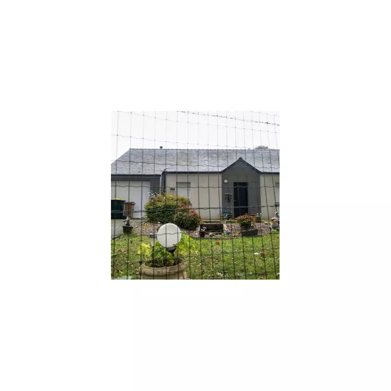 Elderly Couple Abducted at Gunpoint in Terrifying Mexico Kidnapping Ordeal