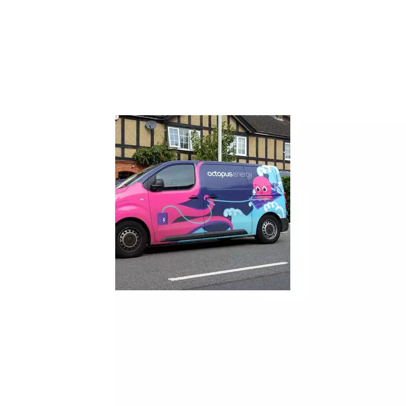 Energy Bill Shock: Octopus Warns of 20% Price Hike for Millions This Winter