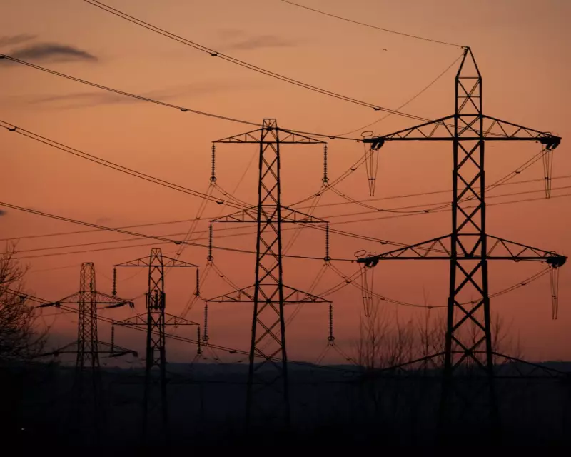 Energy Bills Set to Soar: Octopus Customers Face 20% Price Hike Over Next Four Years