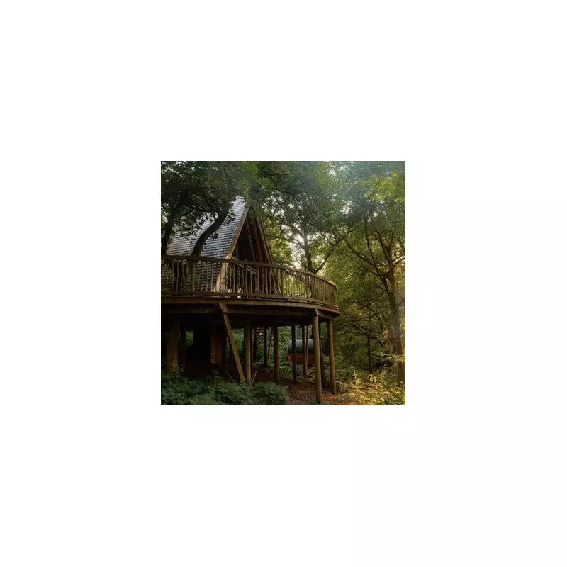 Escape to a Magical Scottish Treehouse With Its Own Private Bar and Hot Tub