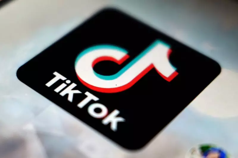 EU Cracks Down: Meta and TikTok Face Major Investigation Under Landmark Digital Services Act