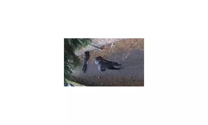 Facebook Marketplace Bike Theft Epidemic: Brazen Gang Steals Cycles Then Sells Them Back to Victims Online