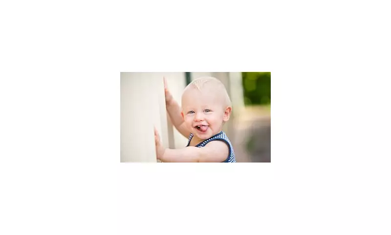 Family Seeks £180k 'English Gentleman' Tutor for 11-Year-Old Boy in Extraordinary Education Bid