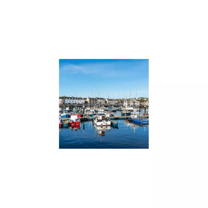 Farewell to the Isles: Britain's Most Remote Airport Sees Final Flight Take Off