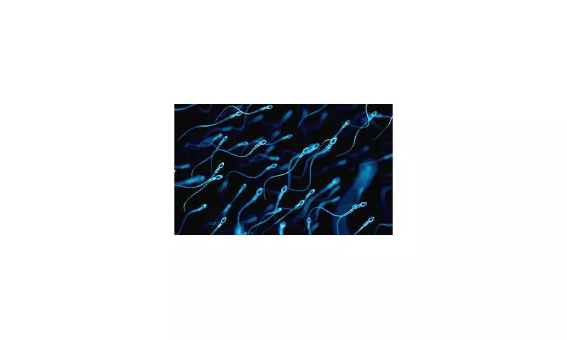 Father Time's Genetic Toll: How Older Sperm Increases Disease Risk in Children