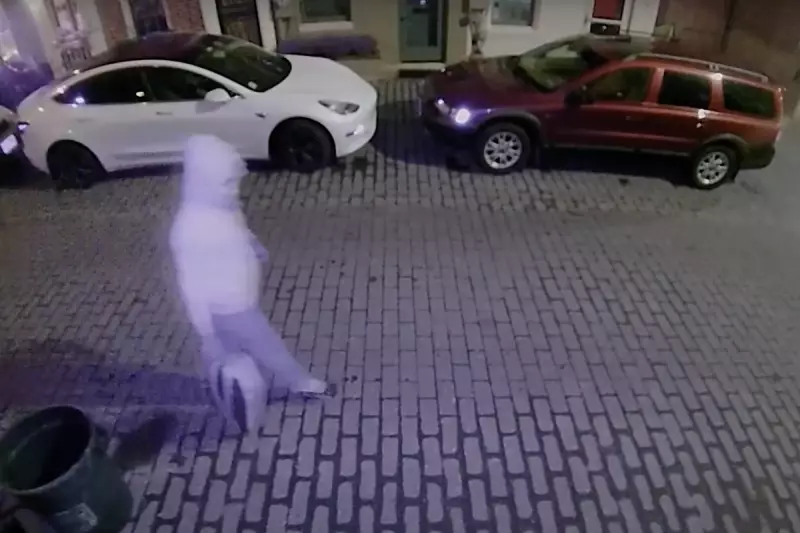 FBI Hunts Capitol Riot Suspect in Dramatic New Video Footage