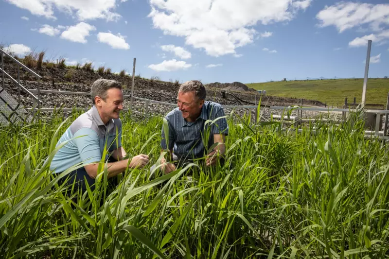 Floating Wetlands: Australia's Revolutionary Solution to Global Water Pollution Crisis