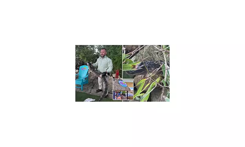 Florida Tiki Bar's Uninvited Guest: Customers Stunned as Alligator Joins Happy Hour