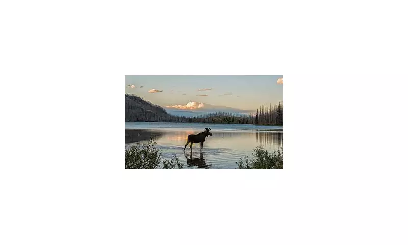 Forget Traditional Holidays: The Rise of Hotel Hopping and Farm Stays is Redefining British Travel