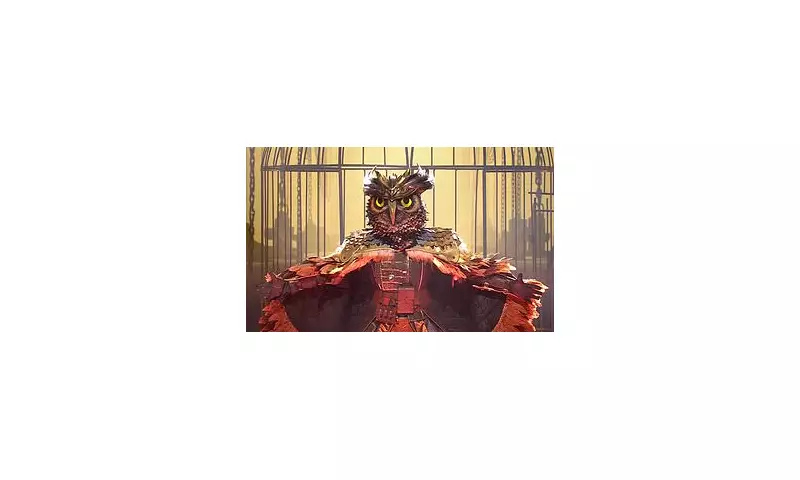 Former Tottenham Star's Bizarre Wildlife Saga: The Truth Behind The Eagle Owl Rumours