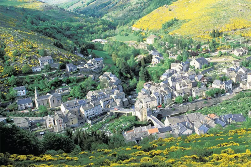 French Cyclist's Midnight Rescue: Lost in Cévennes Mountains Saved by Wine Bar Owner