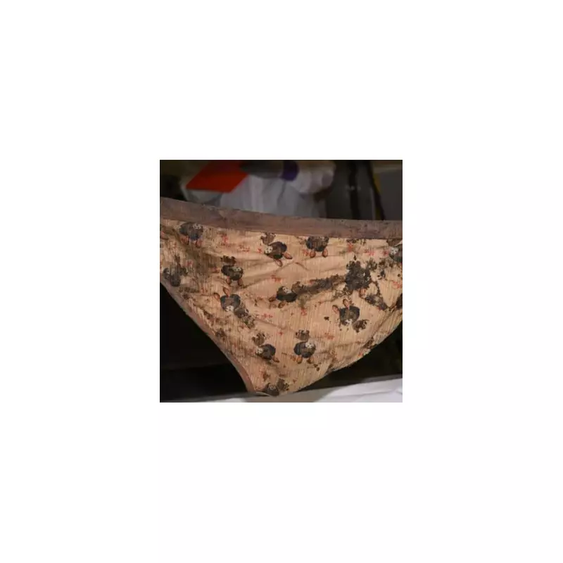 Fresh Clues Emerge in 1996 Cold Case Murder: Police Release Urgent Appeal