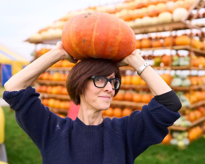 From Humble Gourd to Global Phenomenon: The Unstoppable Rise of Pumpkin Power