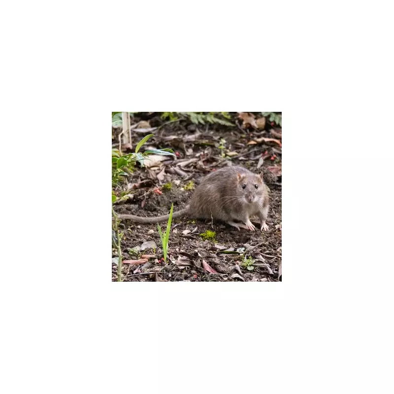 Gardeners' Nightmare: The 7 Plants That Naturally Repel Rats and Mice From Your Garden