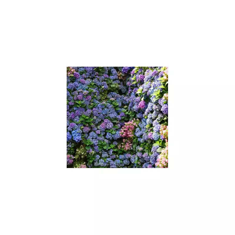 Gardeners' Warning: This Common Watering Mistake Could Be Killing Your Plants