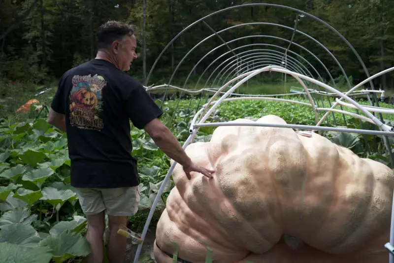 Giant Pumpkin Secrets: Expert Tips for Growing Record-Breaking Squashes in Your UK Garden