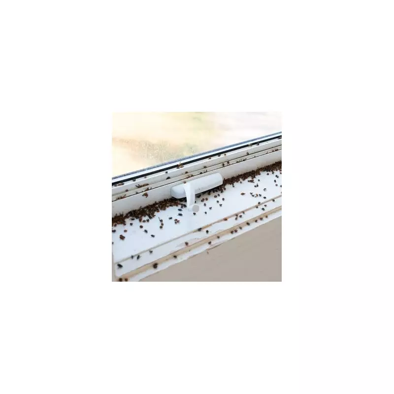 Girl's Terrifying Ordeal: Ladybird Bite Leads to Agonising Jaw Lock