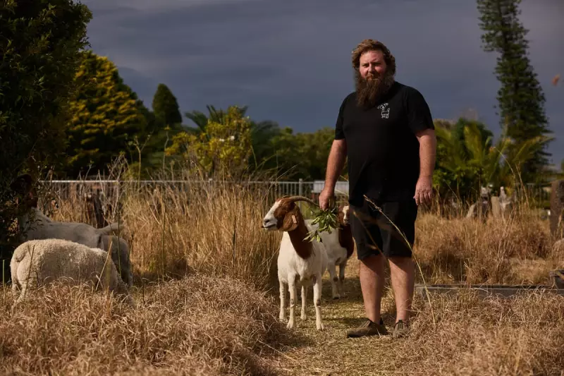 Goats vs. Bushfires: How Grazing Herds Are Becoming Australia's Natural Fire Defence