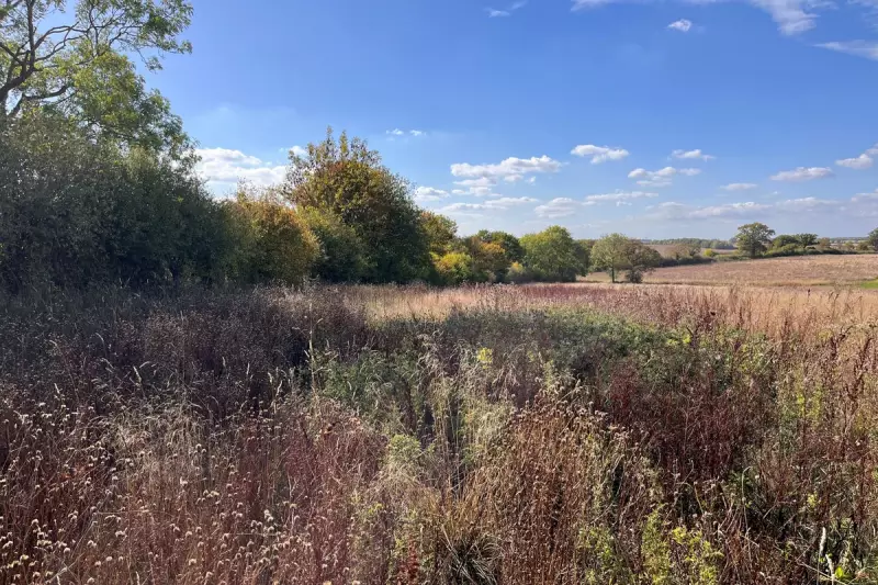 Government Accused of 'Secret' Plan to Strip Protection from England's Precious Birds of Prey