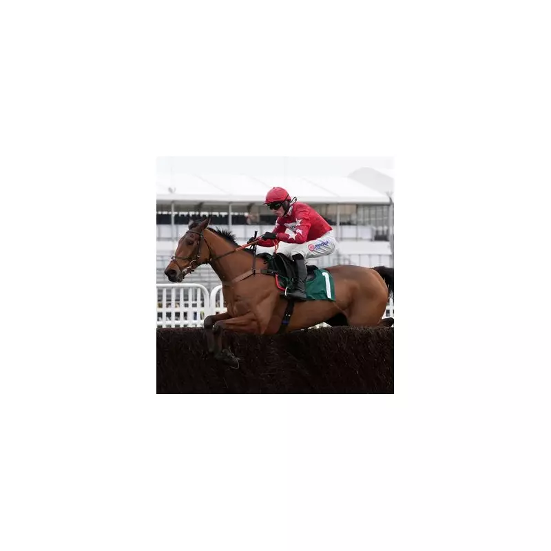 Harry Cobden's 2024 Racing Secrets: The Jockey's Top Horses To Follow This Season