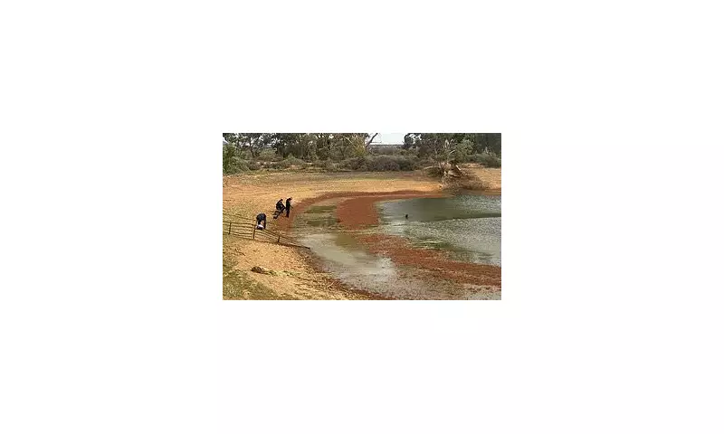 Heartbreaking Update in Search for Missing Four-Year-Old Boy Who Vanished in Australian Outback