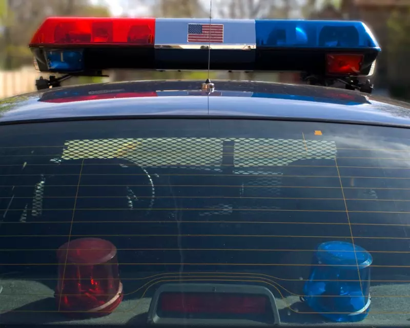 Hero Dog Saves Florida Woman After Terrifying Fall in Dense Woodland